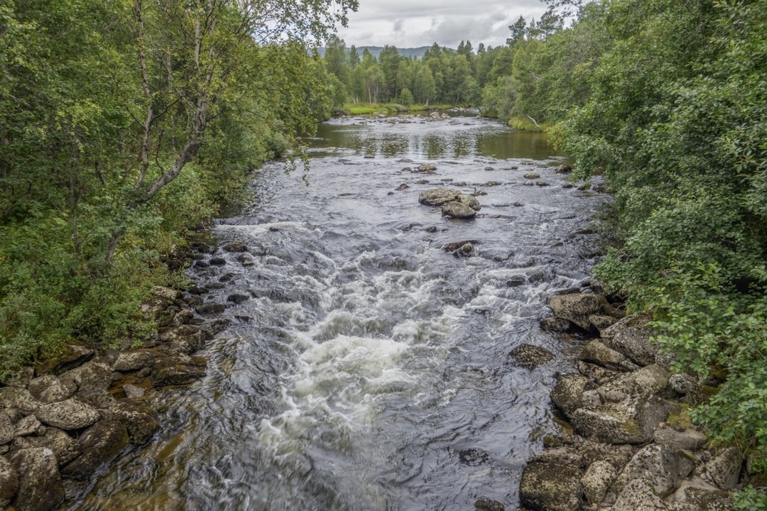 Nature forêt rivière plein-air St-Alexis-des-Monts